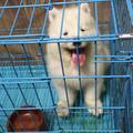 犀利哥工作室头像