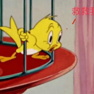 金丝雀喔头像