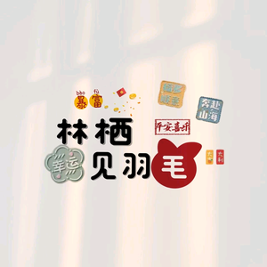 毛毛学剪辑头像