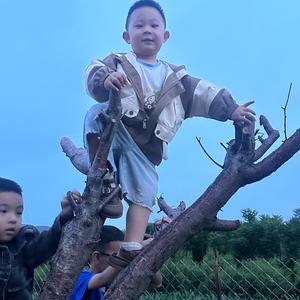 大川崽动漫头像