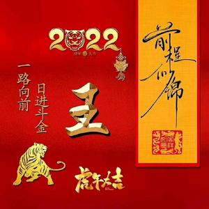 网友们一年渡过一年春头像