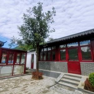 沐溪沐晨头像