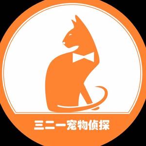 找猫寻猫寻狗三二一寻宠工作室头像