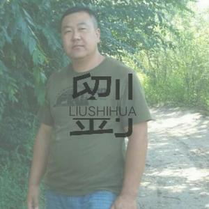 劉華头像