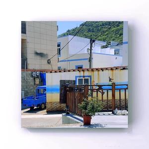 索尼克Y头像