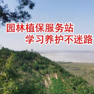 园林植保服务站头像