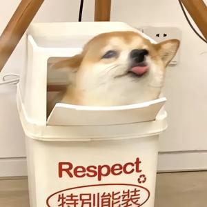 弈如既往头像