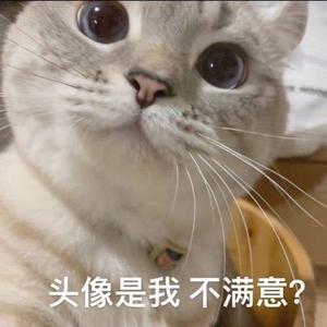大大大萌子头像