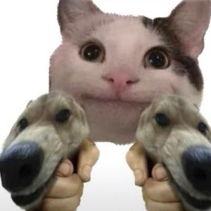 怪谈小剧场头像