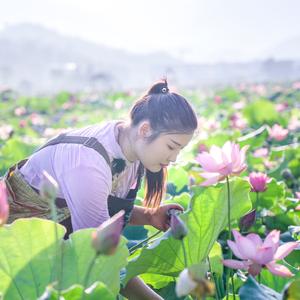 虔城小花头像