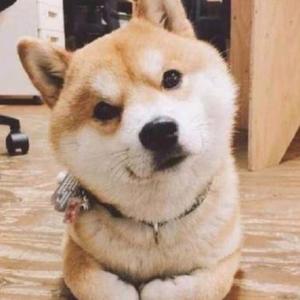 点点滴滴讯头像