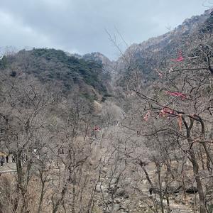 山人拍车头像