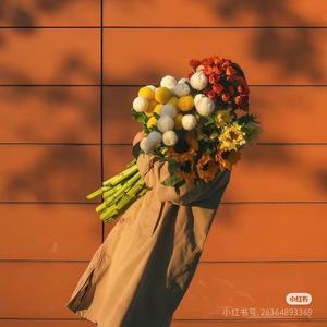 番茄2255852025679948头像