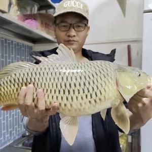 寒江孤影垂钓俱乐部头像
