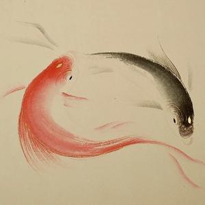 六眼飞鱼头像
