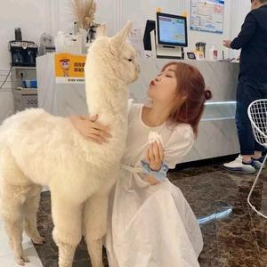 勇者安德烈娅1Rk头像