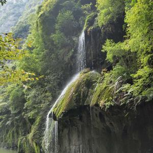 聪明的叶子r头像
