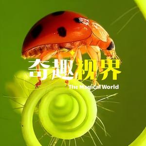 我的奇趣视界头像