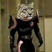 比纯甄还纯的雪豹头像