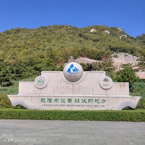 青松挺洁直头像