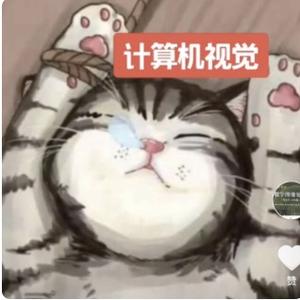 老师明明可以靠颜值头像