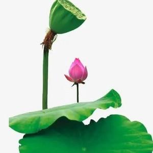 小眼睛大世界头像