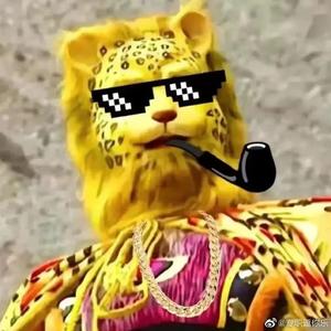 博学多才的小小哥斯拉头像