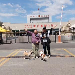 老夫老妻的房车之旅头像