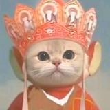 烟雨成云666头像