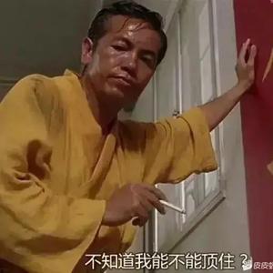 渣渣去哪儿头像