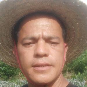 优质果苗头像