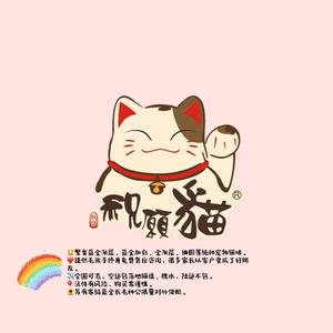 养乐多猫苑头像