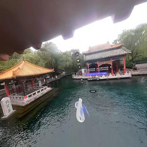 健康益寿山东枫头像