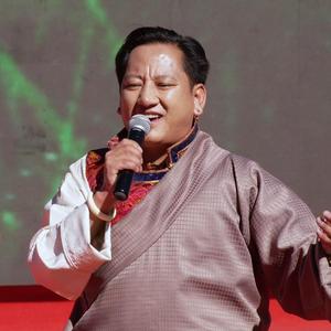 西藏藏巴罗布文化艺术培训有限公司头像