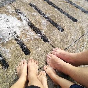 蚂蚁小喇叭头像