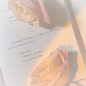 阿狸头像