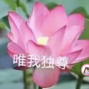 花开富贵头像