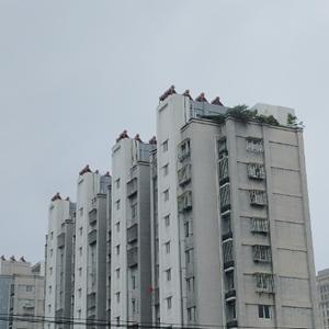 开心屋头像
