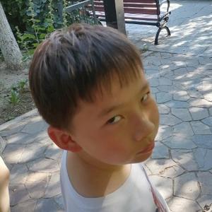 童说万物头像