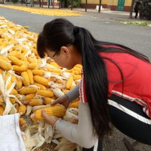 土生土长的山东人头像