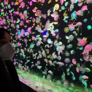 珍藏李想才情头像