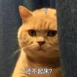 猎奇舒适怪头像