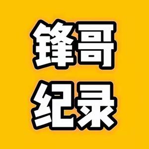 锋哥纪录头像