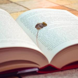 飞哥旅游记阅读记 头像