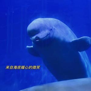 土气剪辑洋气满满头像