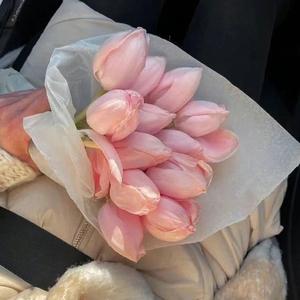 素心爱分享头像