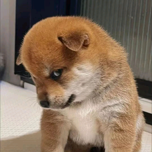 已读不回艺术家❷❽头像