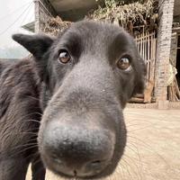 早晚豫见你头像