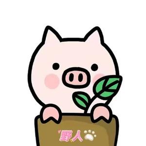 凡心悟宇头像