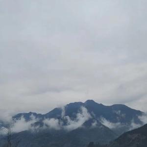 简一手机摄影4e0V头像